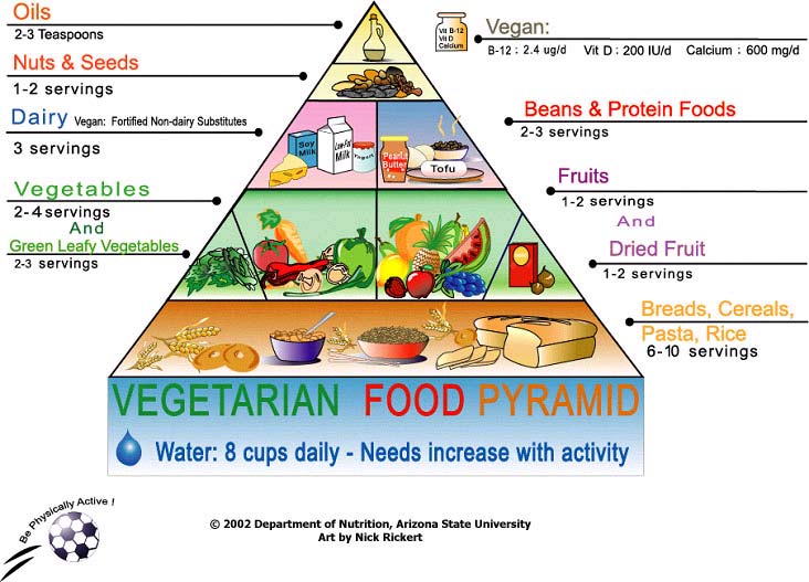 Vegetarian Meal Planning