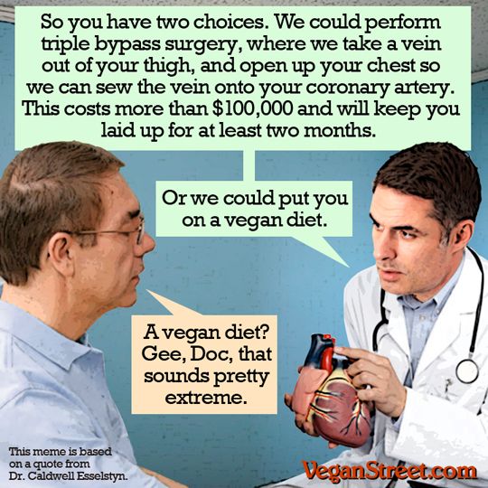 Vegan Diet Cartoon