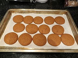 Molasses Cookie