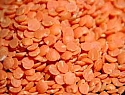 Lentils, red